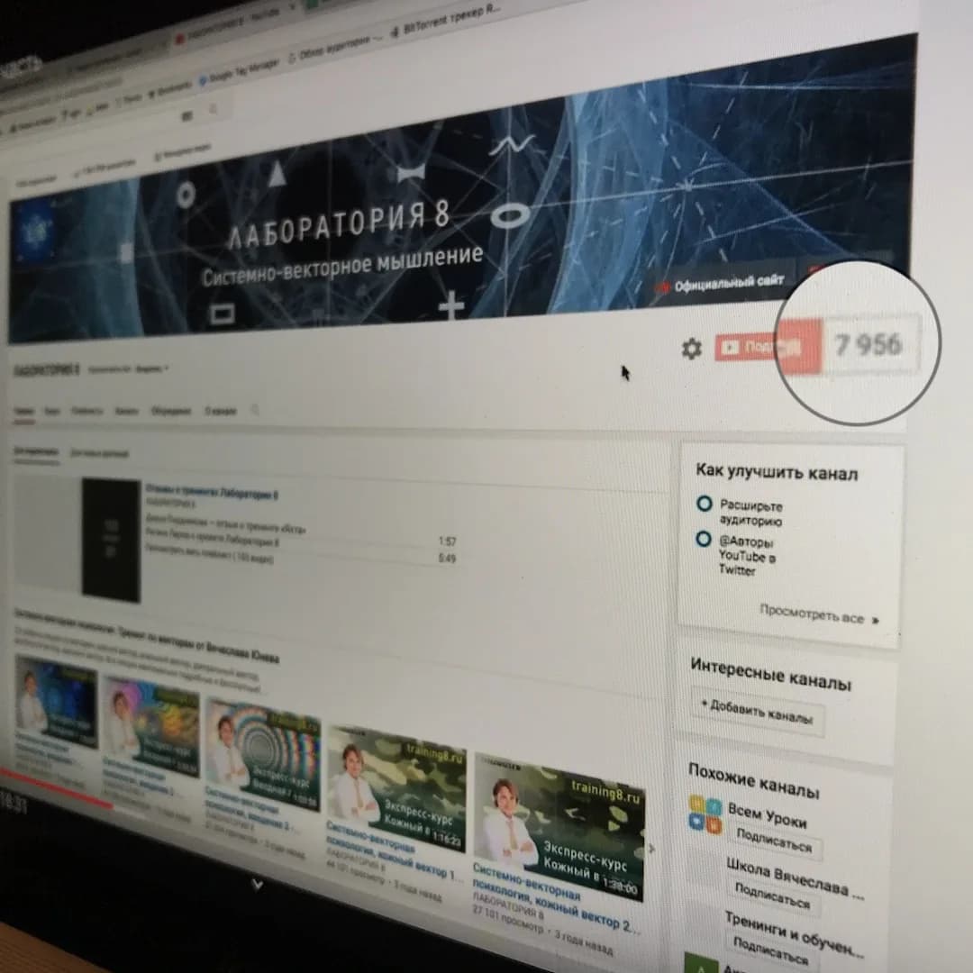 YouTube-канал проекта: 7 956 подписчиков как источник базы